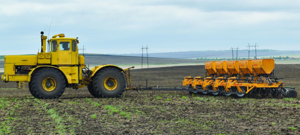 шутов поля9.jpg