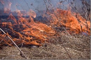 Будьте осторожны с огнём!