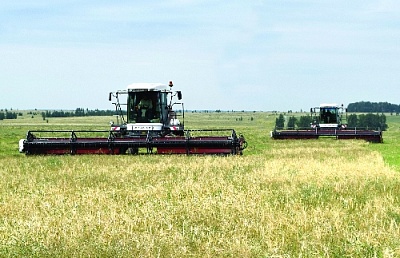 Уборочная: на последних гектарах