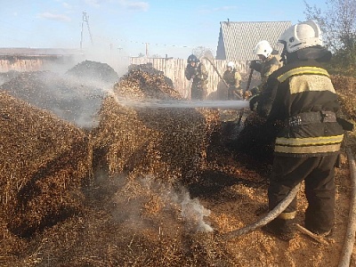Сгорело сено из-за детской шалости