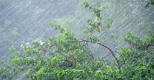 Так вот почему так холодно! Виноват Китай!