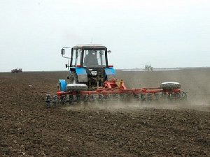 Как будем сеять?