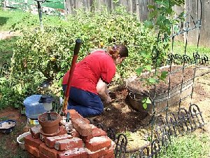 Нагайбакских садоводов поддержат