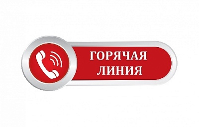  «Горячая линия» со Службой занятости 