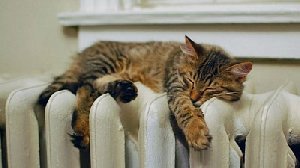 На улице тепло - отключат тепло