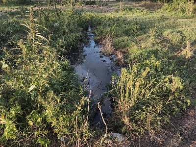 Обещания льются, а фекалии всё текут…