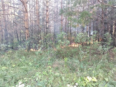 Горит парк поколений