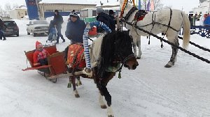 Скачки всё же будут!