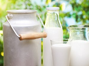 Сухое молоко могут запретить?