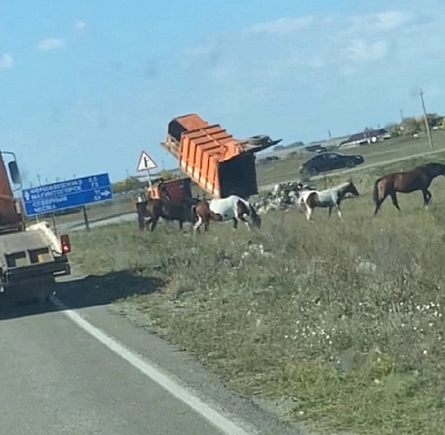 В Нагайбакском районе загорелся мусоровоз