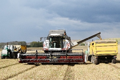 А на небе снова сгущаются тучи…