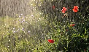 Понедельник начнётся с дождя?