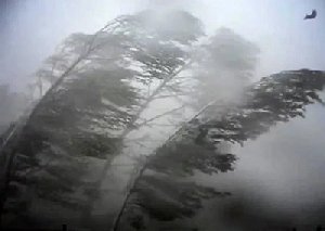 К Нагайбакскому району приближается ураган