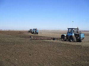 Сколько посеют в Нагайбакском районе?