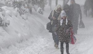 В Нагайбакском районе разбушевался буран