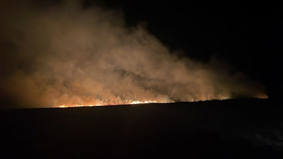 Кто поджигает степи?