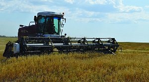 В Нагайбакском районе стартовала уборка зерновых