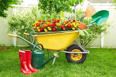 Фотоконкурс: Во саду ли, в огороде...