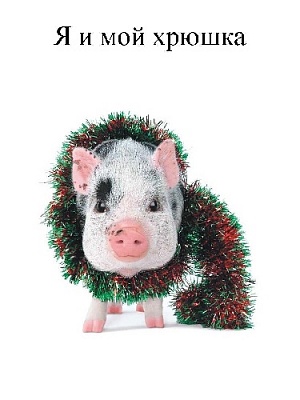 Сфотографируйся со своей хрюшкой!