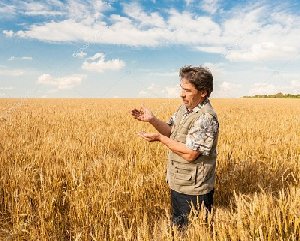 Фермеры Нагайбакского района могут пройти обучение