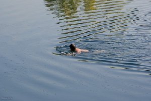 Бравого пловца приговорили к колонии