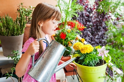 Кто станет «Королевой цветов»?