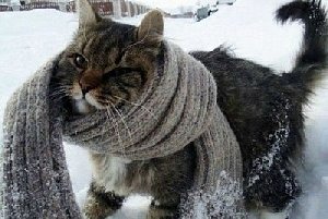 Ноябрьская "оттепель" закачивается