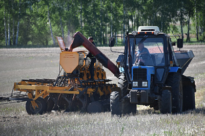 Несмотря на дождь и грязь