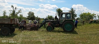 Прибрать кладбище – дело святое!