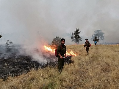 Дождь и сплоченность людей укротили огненную стихию около села Париж