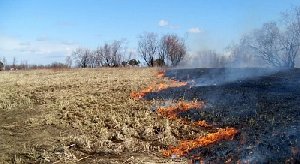 За сельхозпалы уже наказывают