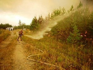Пожару не дали распространиться