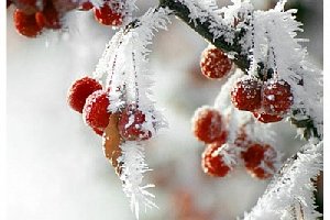 Ночью в Нагайбакском районе ударит мороз?