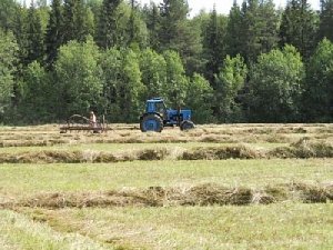 Сенокосная пора