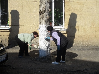 В Нагайбакском районе начались субботники