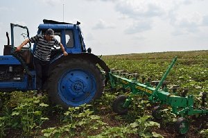 Парижане - на первом месте по качеству посева