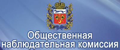 За кем будут наблюдать общественники?