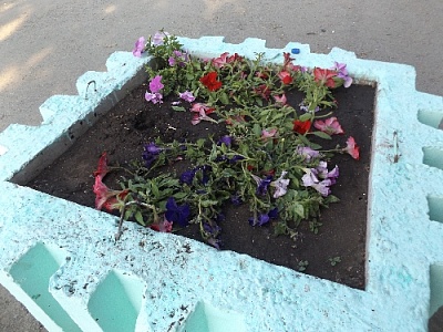 Ну что за варвары!