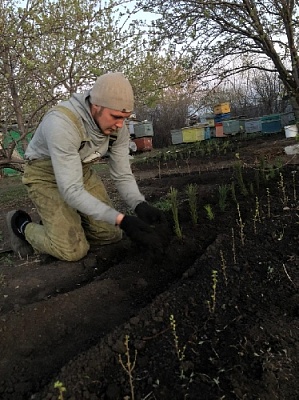 Глава Переселенческого поселения приобрёл саженцы для благоустройства Парка Победы
