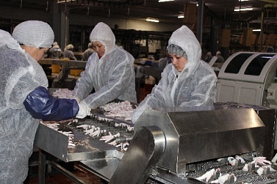 Нагайбакский птицекомплекс отправит за границу любимый деликатес китайцев