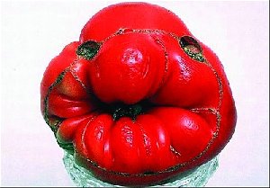 Внимание – конкурс!