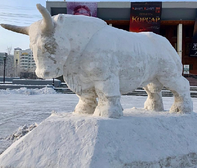 В Нагайбакском районе проводится Битва снежных Быков!