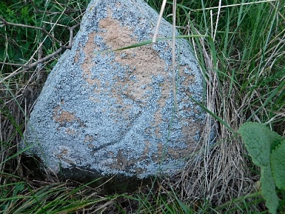 Старинные тамги нагайбаков обнаружили исследователи