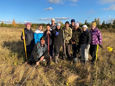 Легко ли посадить дерево?