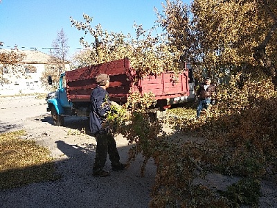 Навели порядок на территории