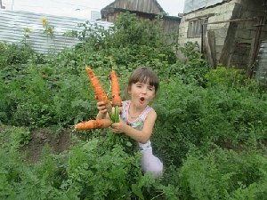 Хозяюшки, молодцы!