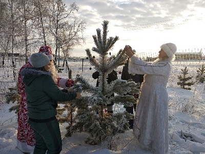 Не рубите, мужики!