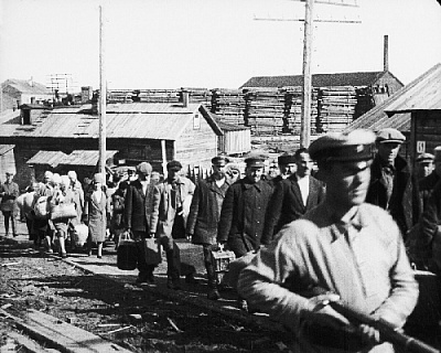 Завершена работа по формированию сборника статей, посвященного памяти наших предков, ставших жертвами сталинского геноцида