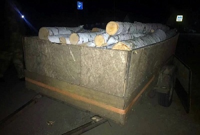 В Нагайбакском районе сотрудники полиции задержали незаконного лесоруба
