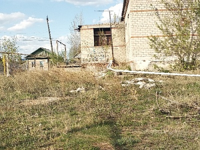 Кто чистюля, а кто "хрю-хрю"?